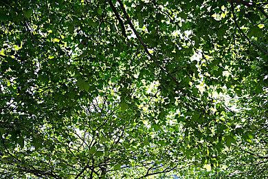 恐怖游戏《Choo-Choo Charles》上架Steam  明年年初发布